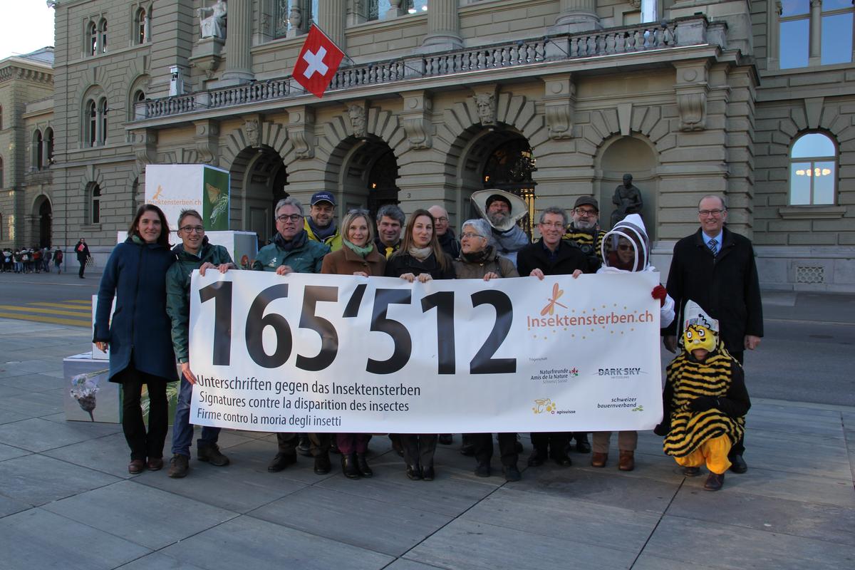 La pétition « Elucider la disparition des insectes » forte de 165'512 signatures a été remise aujourd'hui