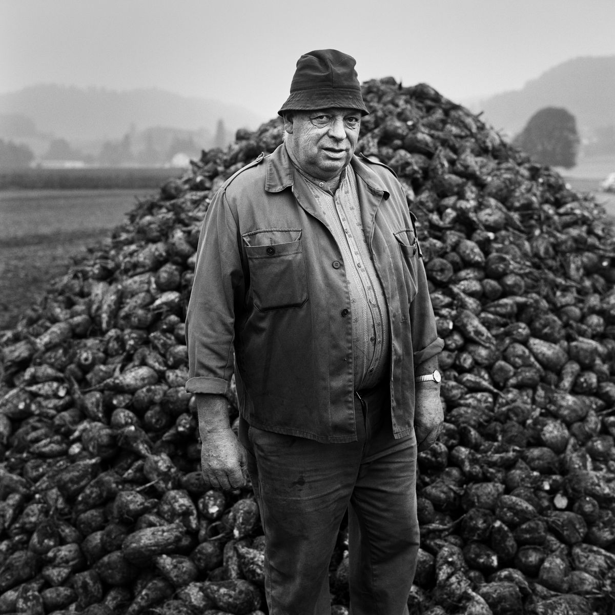 Der einheimische Zuckerrübenanbau und damit die Produktion von Schweizer Zucker sind ohne politische Massnahmen akut gefährdet. (Bild: Markus Bühler) Der einheimische Zuckerrübenanbau und damit die Produktion von Schweizer Zucker sind ohne politische Massnahmen akut gefährdet. (Bild: Markus Bühler)
