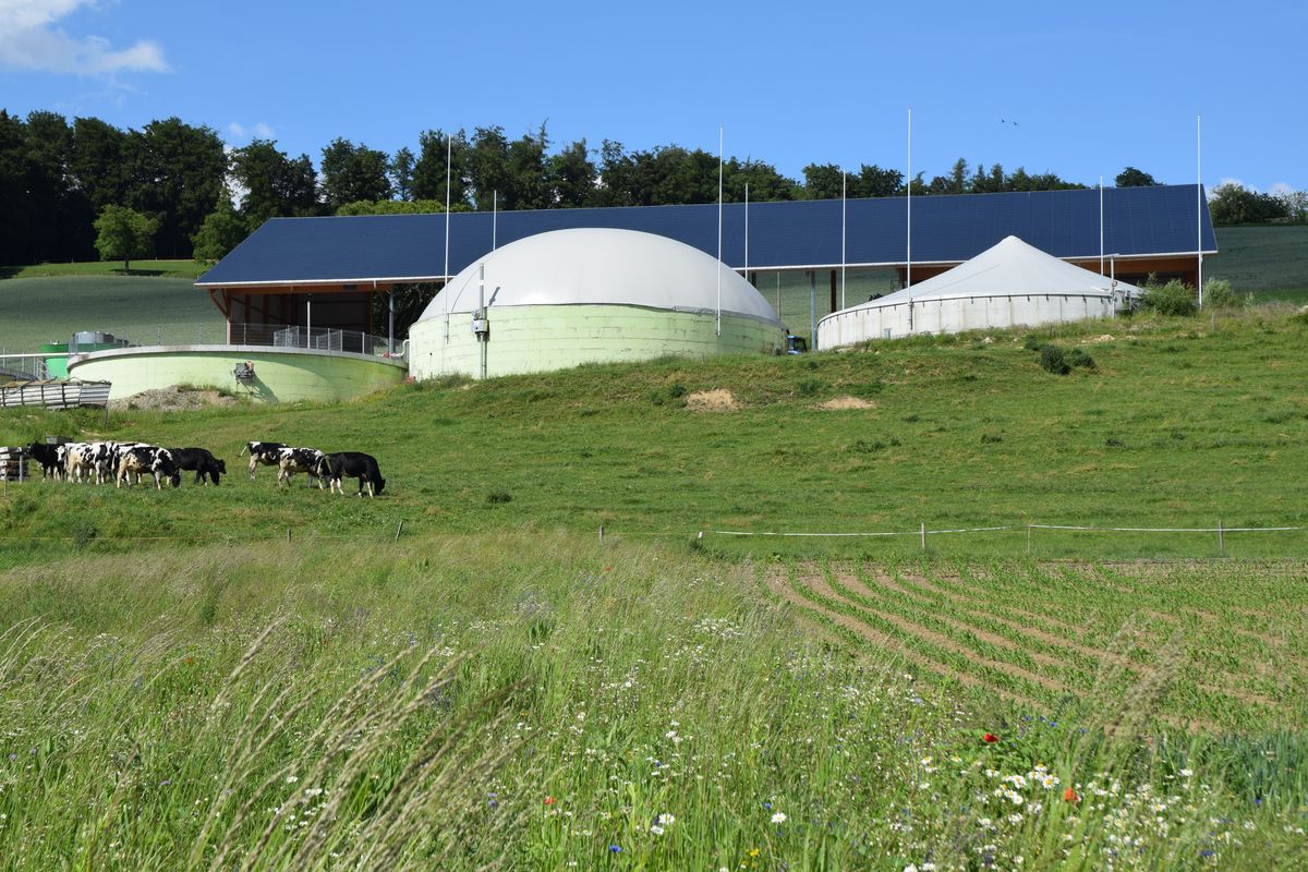 Die Betriebsführung durch Simon Schmitter, Noréaz  nach der Mitgliederversammlung von AgroCleanTech gab einen praxisnahen Einblick zu erneuerbare Energien, Energieeffizienz und Klimaschutz. 