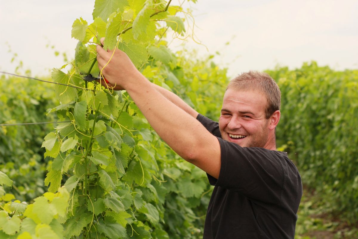 Le secteur agricole devra aussi annoncer les postes vacants