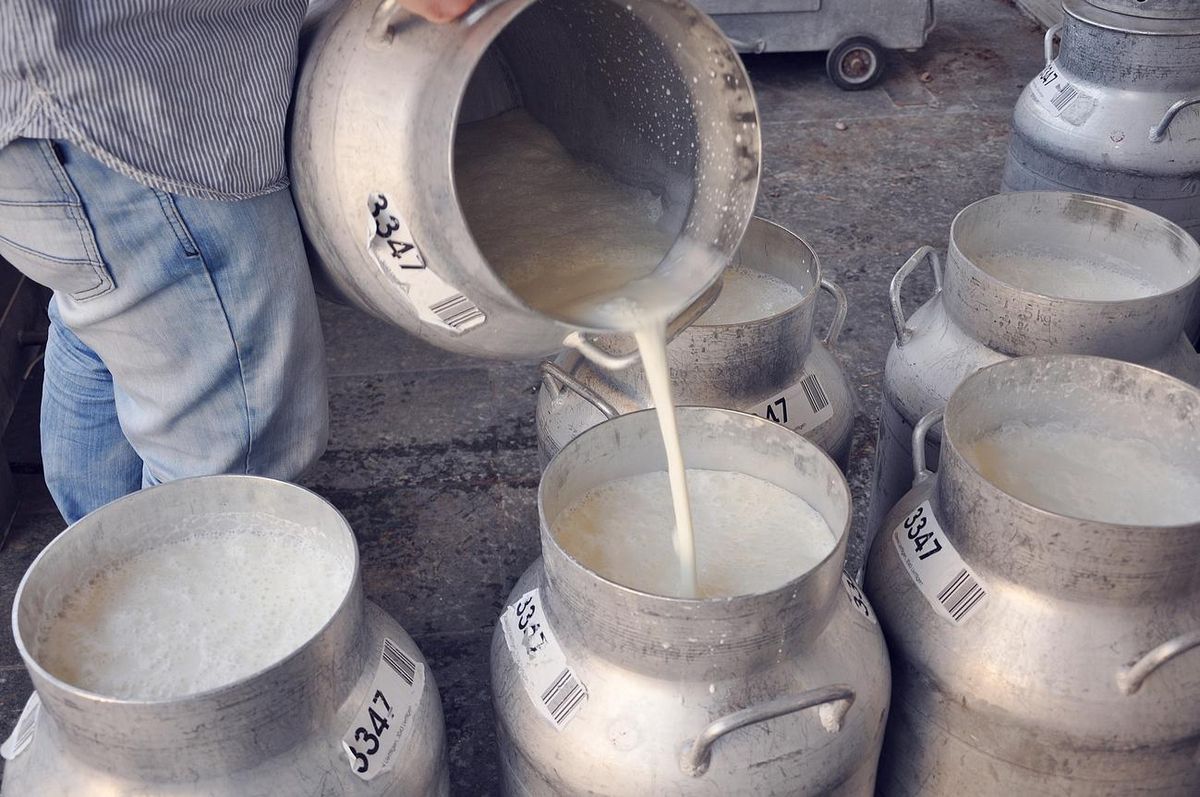 Arbeitsgruppe Milch führt Arbeit weiter