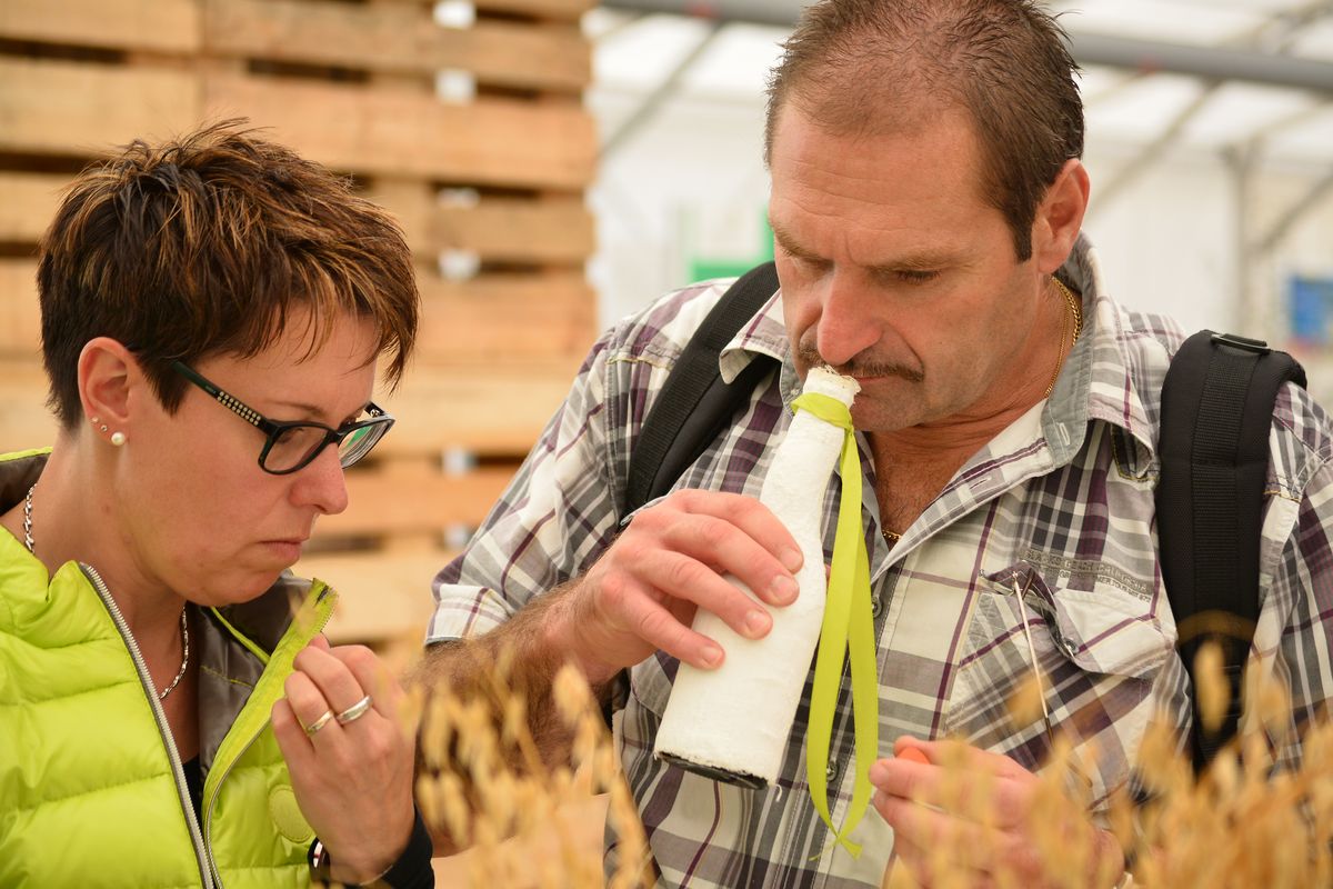 Vaches, chevaux ou plantes : découvre ton talent aux MySkills !