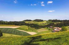 Communiqué de presse