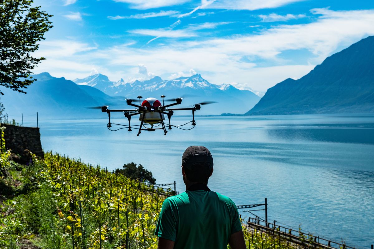 Réduction des produits phytosanitaires : la Suisse est déjà en marche