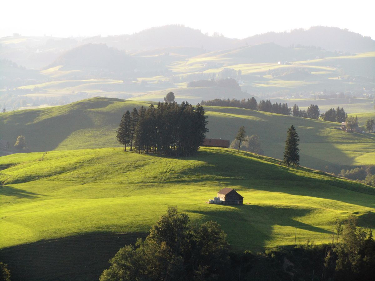 Sinnvolle Weiterentwicklung der Agrarpolitik (Bild: Carin Schwanenberg, www.landwirtschaft.ch)