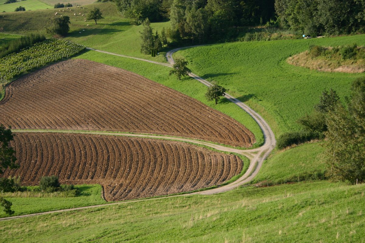 Bilan mitigé de la politique agricole actuelle