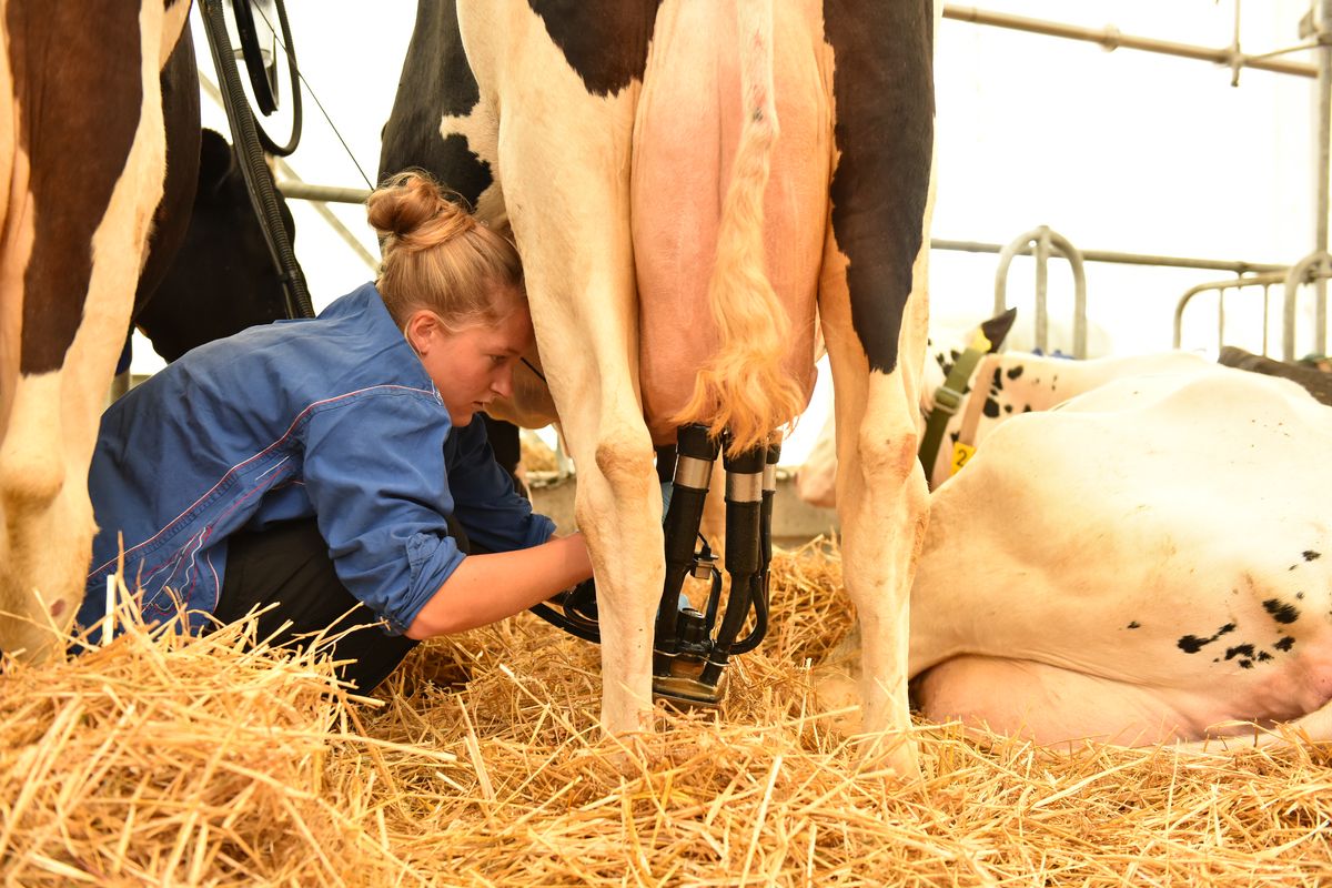 Erfreuliche Zunahme bei den Lernenden im Berufsfeld Landwirtschaft! 