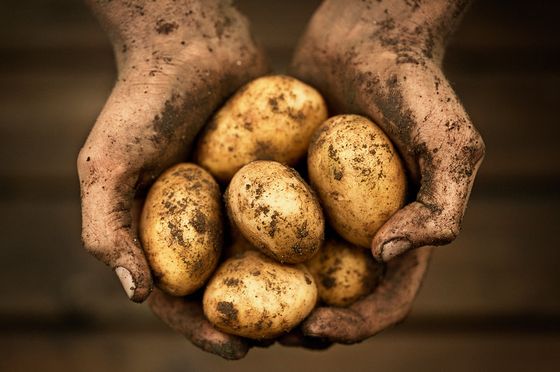 Ernährungssicherheit (auch in der Schweiz) ist alles andere als selbstverständlich.