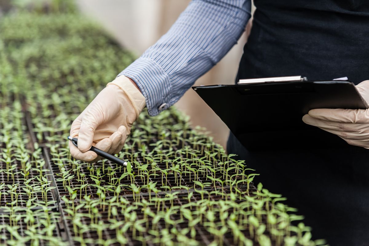 Landwirtschaftsforschung: quo vadis?