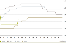 [Translate to Français:] 