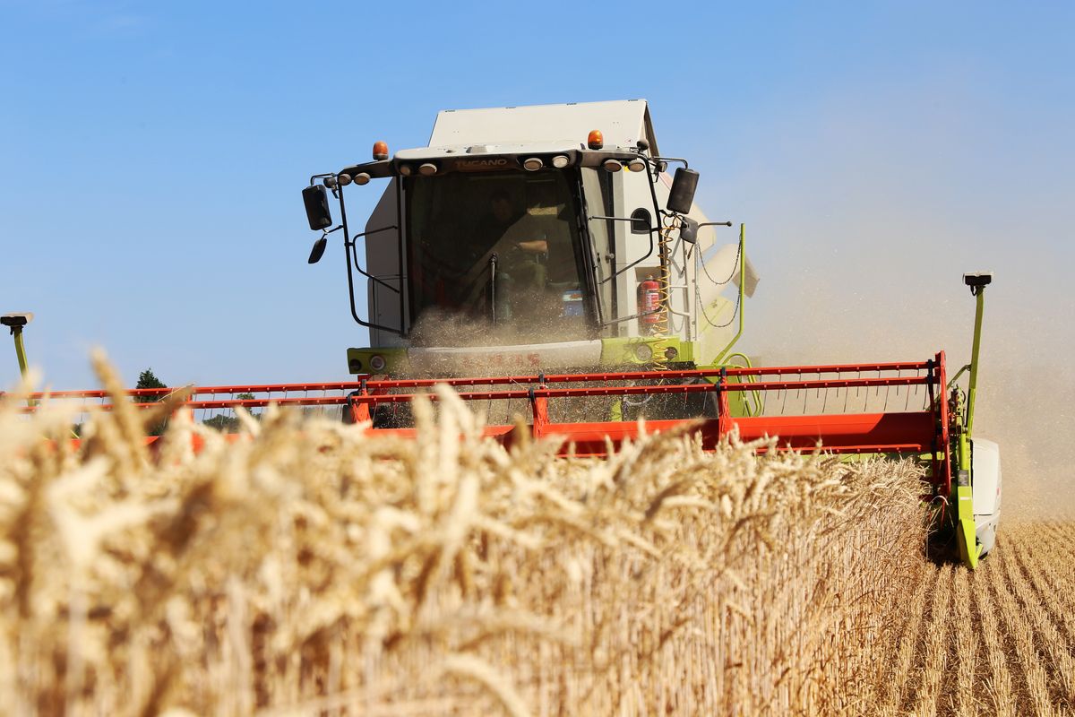 Le Conseil fédéral adopte le rapport sur la politique agricole