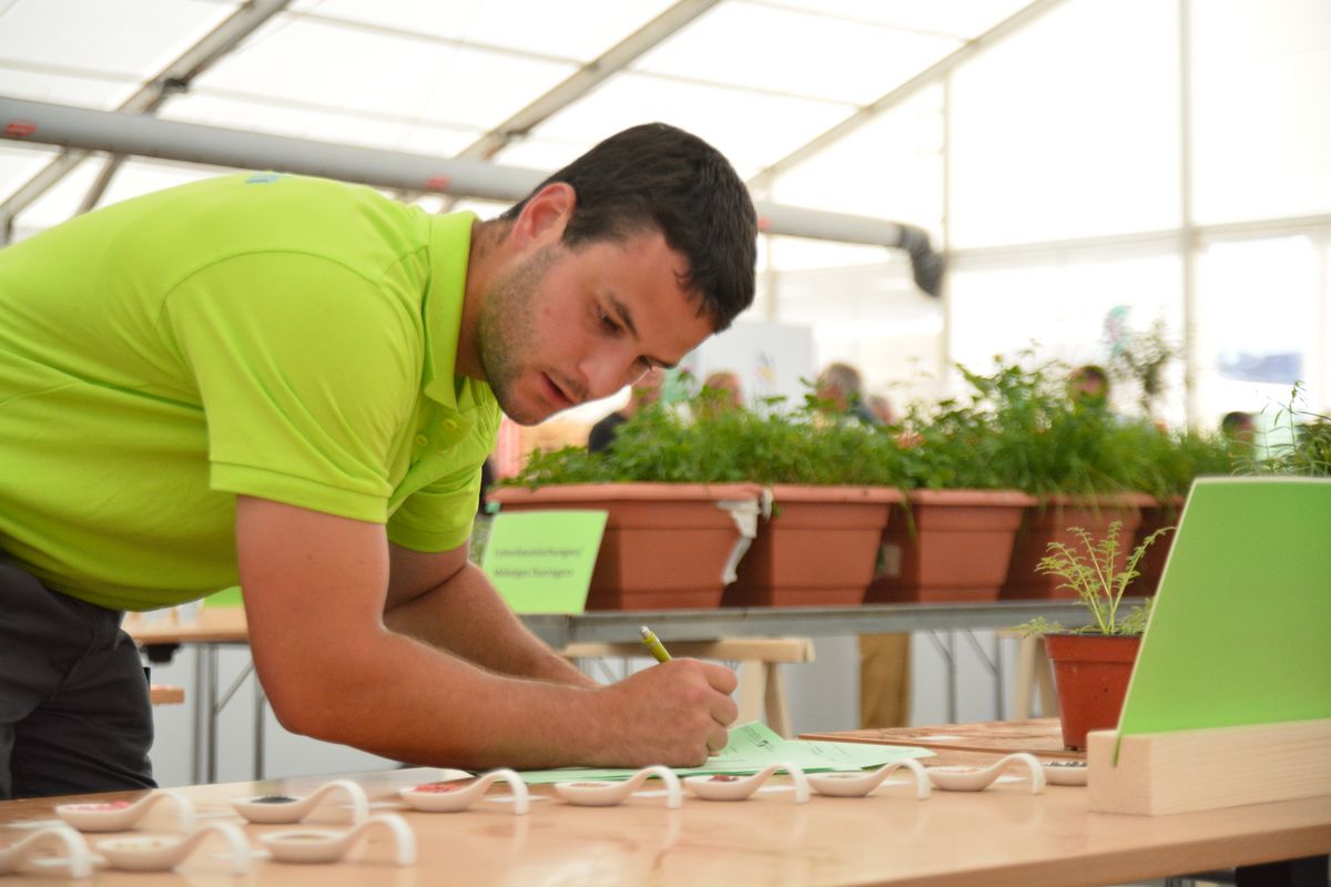 Trois jeunes agricultrices et 33 jeunes agriculteurs en compétition 