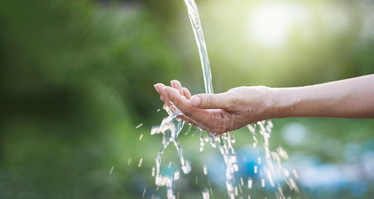 Studie des Bundes bestätigt: Trinkwasserinitiative ist kontraproduktiv