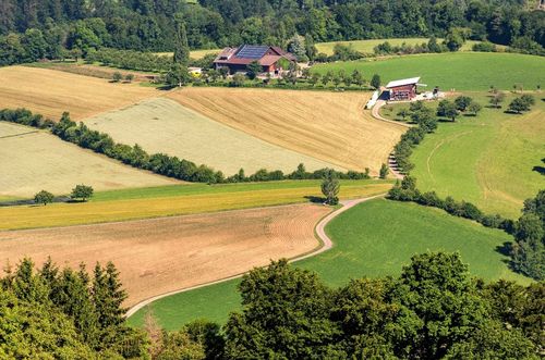 Biodiversitätsinitiative 