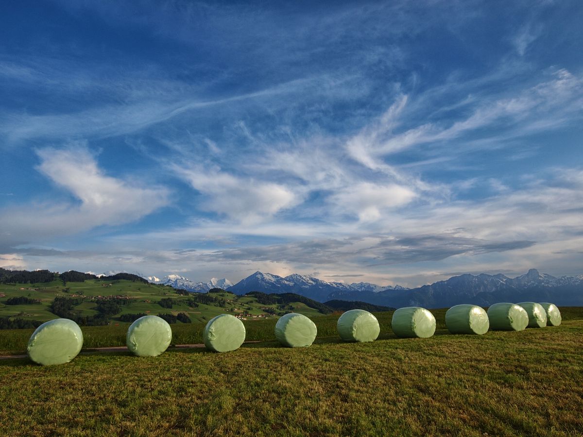 Recyclingrate für Silofolien in der Schweiz verbessern (Bild: Ruth Pulido, www.landwirtschaft.ch)