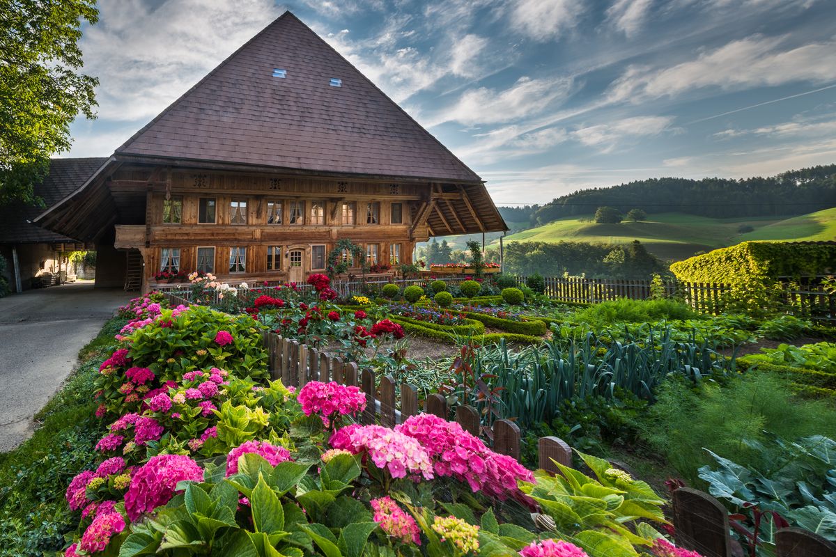 Le Conseil national a rendu sa décision : la Vue d’ensemble présentée en novembre par le Conseil fédéral ne constitue pas une base recevable pour le développement de la politique agricole. (Photo: Martin Mägli, www.agriculture.ch) 