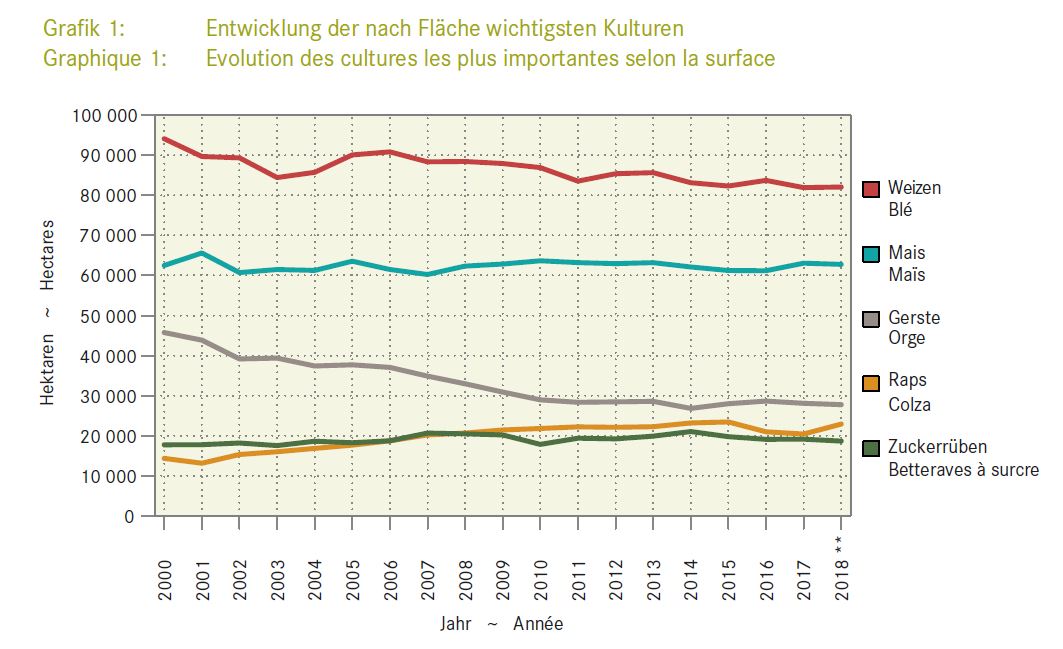 Evolution des cultures les plus importantes selon la surface